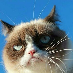 Meet your Posher, Kristin